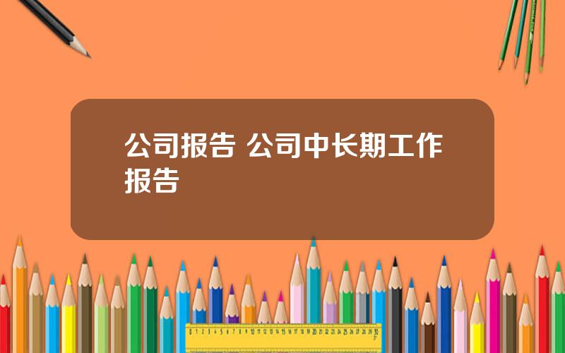 公司报告 公司中长期工作报告